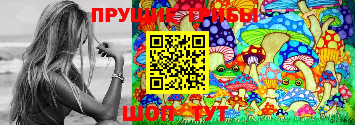 Галлюциногенные грибы Psilocybine cubensis  Вход с VPN  Заводоуковск  Псилоцибиновые грибы MAGIC MUSHROOMS 